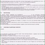 Bestellung Evakuierungshelfer Vorlage Hübsch 9 Vorlage Bestellung Brandschutzbeauftragter