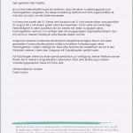 Betriebsanalyse Vorlage Erstaunlich Praktikumsbericht Vorlage Schule 10 Klasse Inspiration 9