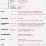 Betriebsanalyse Vorlage Großartig Praktikumsbericht Vorlage Schule 10 Klasse Inspiration 9