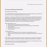 Betriebsanalyse Vorlage Gut 12 Lebenslauf Techniker