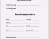 Betriebsanalyse Vorlage Wunderbar Praktikumsbericht Vorlage Schule 10 Klasse Inspiration 9