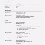 Bewerbung Kinderpflegerin Vorlage Beste 9 Bewerbung Kinderpflegerin Muster