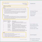 Buchvorstellung Powerpoint Vorlage Erstaunlich Wie sollte Ein Handout Aussehen [herr Kalt]