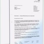 Einspruch Kindergeld Rückzahlung Vorlage Erstaunlich Einspruch Gegen Steuerbescheid Und Antrag Auf