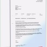 Einspruch Kindergeld Rückzahlung Vorlage Neu Einspruch Gegen Eine Umsatzsteuerschätzung