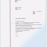 Einspruch Kindergeld Rückzahlung Vorlage Schön Einspruch Gegen Deutsches ordnungsgeld Fernbleiben Als