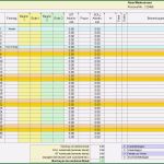 Erfassung Krankheitstage Excel Vorlage Elegant Activity Report