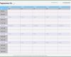 Excel Terminplaner Vorlage Bewundernswert Tagesplaner Vorlage Excel format