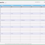 Excel Terminplaner Vorlage Bewundernswert Tagesplaner Vorlage Excel format