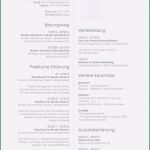 Filemaker Zeiterfassung Vorlage Angenehm Bilder Bild Von Einzahlungsschein Schweiz Vorlage