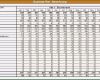 Finanzplan Vorlage Excel Kostenlos Wunderbar Businessplan Beispiel Kleid