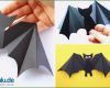 Fledermaus Laterne Vorlage Schönste Fledermaus Basteln Bastelanleitung
