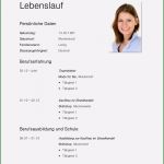 Forderungsaufstellung Vorlage Download Luxus Tabellarischer Lebenslauf Vorlage Kostenlose Muster Zum