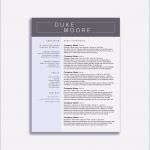 Formlose Gewinnermittlung Kleinunternehmer Vorlage Kostenlos Einzigartig Vorlage Einnahmenuberschussrechnung Kleinunternehmer