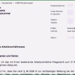 Fristgerechte Kündigung Durch Arbeitnehmer Vorlage Bewundernswert 5 Kundigung Mietvertrag Vorlage Zum Ausfullen