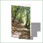 Gedenkkarten Vorlagen Best Of Einfühlsame Entwürfe Individueller Trauerkarten Und