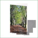 Gedenkkarten Vorlagen Genial Einfühlsame Entwürfe Individueller Trauerkarten Und