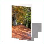 Gedenkkarten Vorlagen Schönste Einfühlsame Entwürfe Individueller Trauerkarten Und