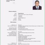 Haftungsausschluss Englisch Vorlage Best Of Beste Europass Cv English Example Cv Examples Europass