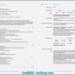 Haftungsausschluss Englisch Vorlage Beste Komplett Europass Lebenslauf Vorlage 18 Cv English