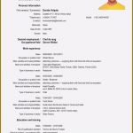 Haftungsausschluss Englisch Vorlage Erstaunlich Detail Size Curriculum Europass Word Cv