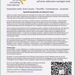 Haftungsausschluss Englisch Vorlage Gut Erweitert Bewerbung eventmanagement Frisch Lebenslauf