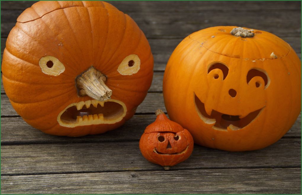 Halloween Fratzen Vorlagen Angenehm 40 Kostenlose Kürbis Vorlagen Zum Ausdrucken Schnitzen