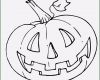 Halloween Fratzen Vorlagen Inspiration Die Besten 25 Halloween Ausmalbilder Ideen Auf Pinterest