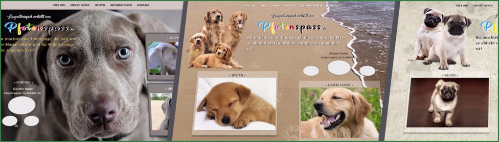 Hunde Homepage Vorlagen Best Of Home Pfotenspass Hunde Homepage Für Hundezüchter