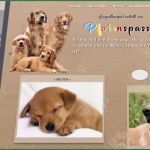 Hunde Homepage Vorlagen Best Of Home Pfotenspass Hunde Homepage Für Hundezüchter
