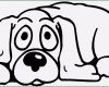 Hunde Homepage Vorlagen Best Of Hund Liegt Auf Dem Boden Ausmalbild &amp; Malvorlage Ics