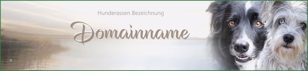 Hunde Homepage Vorlagen Best Of Vorlagen Pfotenspass Hunde Homepage Für Hundezüchter