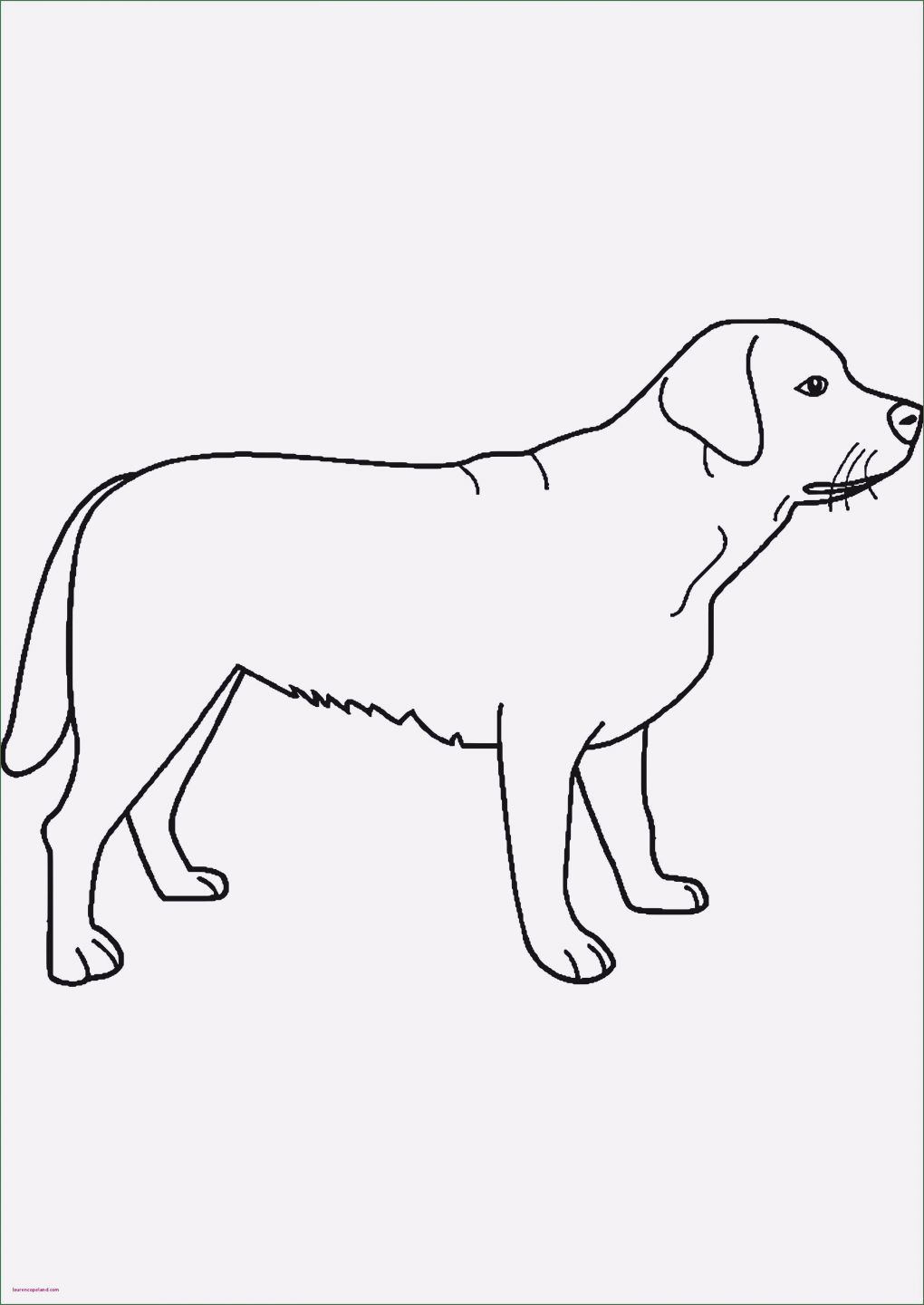 Hunde Homepage Vorlagen Beste 37 Elegant Ausmalbilder Hund Und Katze Fotografie