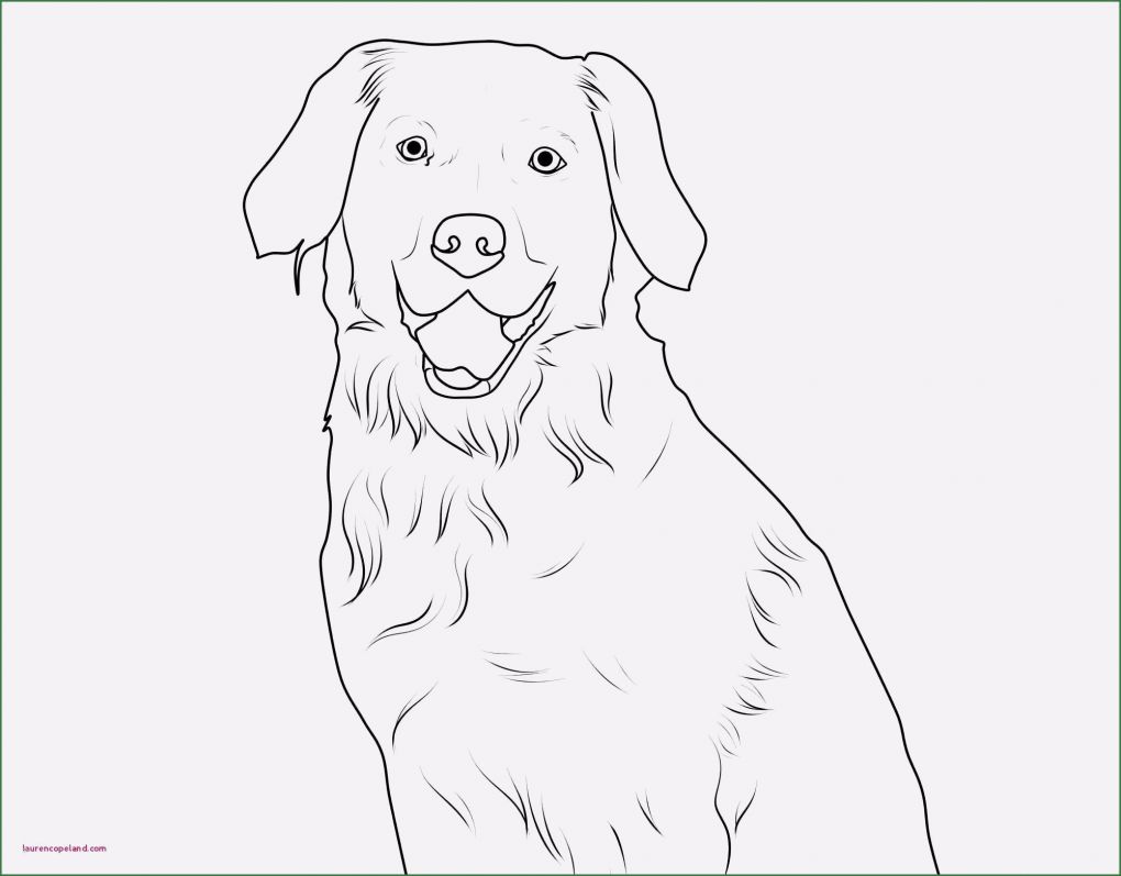 Hunde Homepage Vorlagen Bewundernswert 58 Das Beste Von Ausmalbilder 2000 Bilder