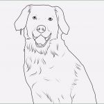 Hunde Homepage Vorlagen Bewundernswert 58 Das Beste Von Ausmalbilder 2000 Bilder