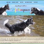 Hunde Homepage Vorlagen Bewundernswert Hunde Homepage Vorlagen Pfotenspass Hunde Homepage Für