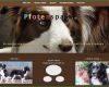 Hunde Homepage Vorlagen Elegant Homepage überarbeiten Lassen Pfotenspass Hunde Homepage