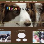 Hunde Homepage Vorlagen Elegant Homepage überarbeiten Lassen Pfotenspass Hunde Homepage