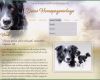 Hunde Homepage Vorlagen Fabelhaft Homepage Erstellen Lassen Pfotenspass Hunde Homepage Für
