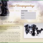 Hunde Homepage Vorlagen Fabelhaft Homepage Erstellen Lassen Pfotenspass Hunde Homepage Für
