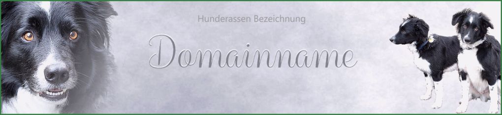 Hunde Homepage Vorlagen Genial Vorlagen Pfotenspass Hunde Homepage Für Hundezüchter