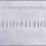 Hunde Homepage Vorlagen Genial Vorlagen Pfotenspass Hunde Homepage Für Hundezüchter