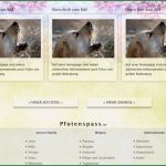 Hunde Homepage Vorlagen Gut Hunde Homepage Vorlagen Pfotenspass Hunde Homepage Für