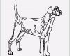 Hunde Homepage Vorlagen Schön 55 Frisch Auflistung Von Ausmalbilder Zum Ausdrucken Hunde