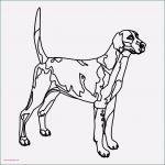 Hunde Homepage Vorlagen Schön 55 Frisch Auflistung Von Ausmalbilder Zum Ausdrucken Hunde
