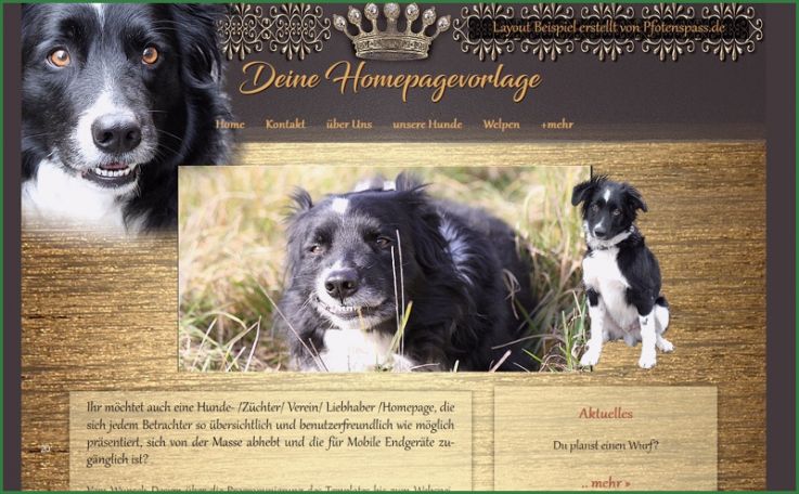 Hunde Homepage Vorlagen Schön Hunde Homepage Vorlagen Pfotenspass Hunde Homepage Für