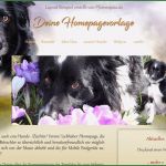 Hunde Homepage Vorlagen Schönste Vorlagen Pfotenspass Hunde Homepage Für Hundezüchter