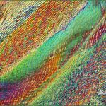 Hygieneplan Physiotherapie Vorlage Gut 7 Cnc Fras Vorlagen Sampletemplatex1234