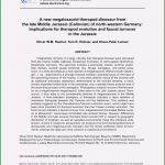 Hygieneplan Physiotherapie Vorlage Schön 7 Dinosaurier Fußabdruck Vorlage Meltemplates Meltemplates