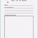 Ich Buch Vorlage Kita Bewundernswert 16 Steckbrief Schüler Klasse 5